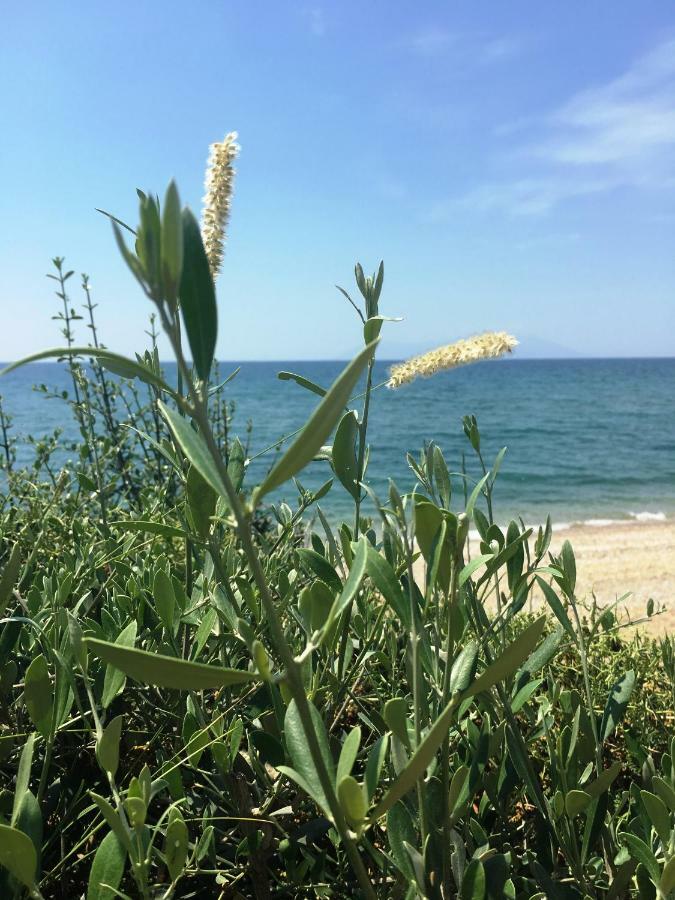 Villa Estate Irene Alexandroupoli Esterno foto