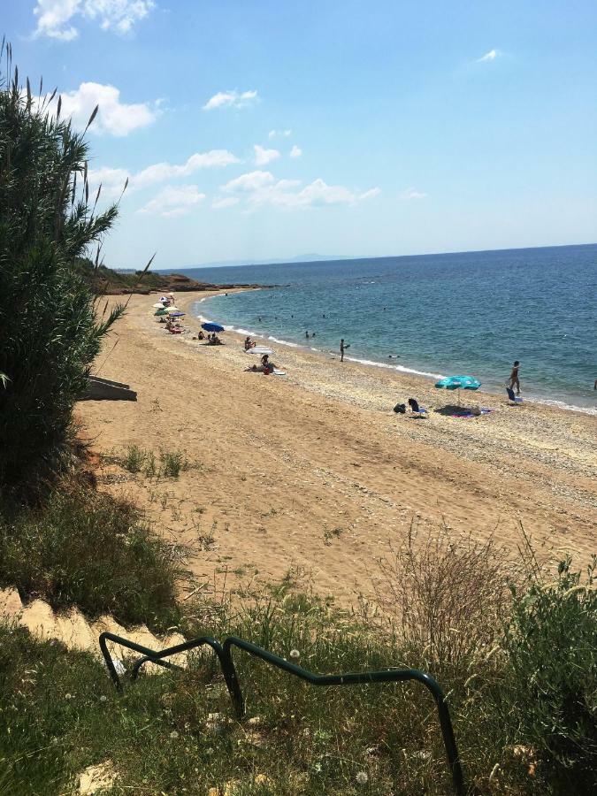 Villa Estate Irene Alexandroupoli Esterno foto
