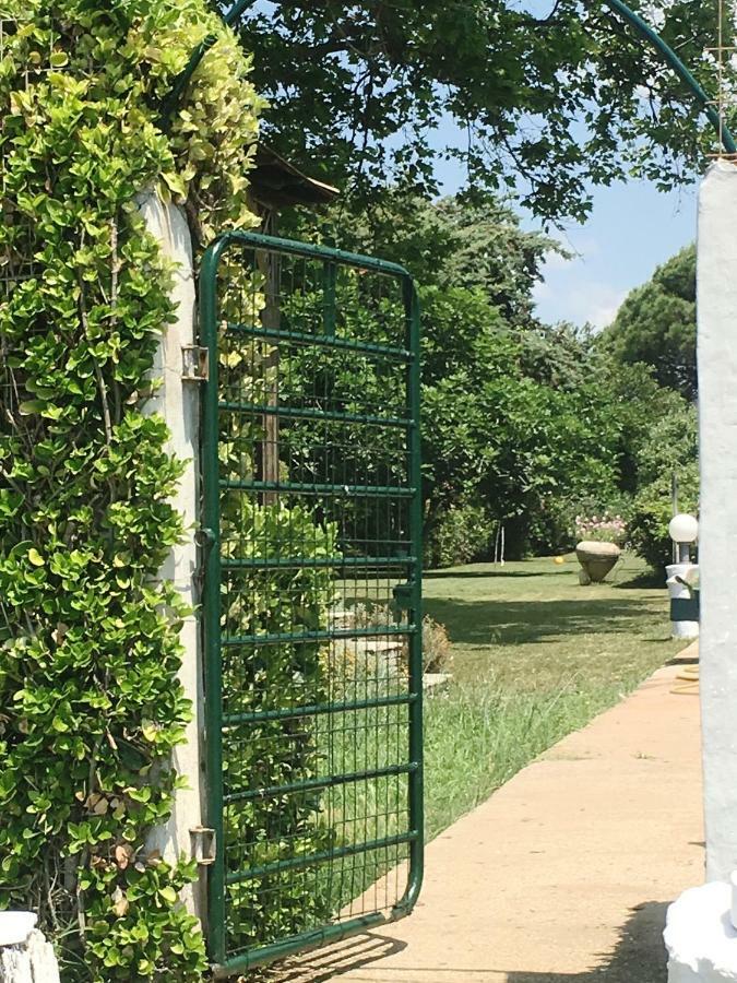 Villa Estate Irene Alexandroupoli Esterno foto